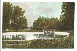 The Lake, Wardown, Luton - W.H. Cox - Autres & Non Classés