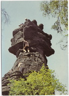 Bielatal (Kr. Pirna) - Schraubenkopf  - Klettern / Alpinisme  -  (Sachsen) - Pirna