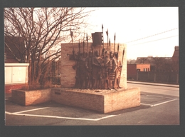 Westrozebeke - Monument Aan Stadhuis - Originele Foto - Staden