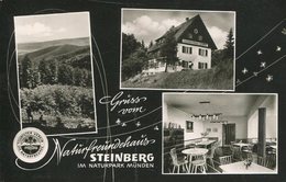 004950  Gruss Vom Naturfreundhaus Steinberg Im Naturpark Münden - Hannoversch Muenden