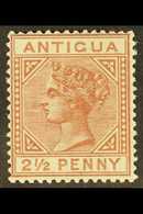 1882  2½d Red Brown, Watermark Crown CA, SG 22, Very Fine Mint. For More Images, Please Visit Http://www.sandafayre.com/ - Other & Unclassified