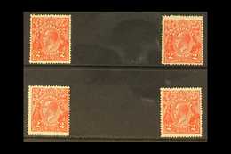 1918-23 KGV 2D HEAD SPECIALIST VARIETIES.  A Quad Of Mint Specialist Varieties Of The 2d Rose Scarlet (SG 63), Including - Andere & Zonder Classificatie