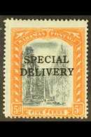 SPECIAL DELIVERY  1916 5d Black & Orange Overprint WATERMARK REVERSED Variety, SG S1x, Fine Very Lightly Hinged Mint, Ce - Other & Unclassified