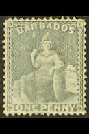 1875  1d Grey-blue, Wmk CC, Perf 14, SG 74, Very Fine Mint. For More Images, Please Visit Http://www.sandafayre.com/item - Barbades (...-1966)