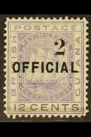 1881  2c On 12c Pale Violet Official, SG 155, Fine Mint. For More Images, Please Visit Http://www.sandafayre.com/itemdet - British Guiana (...-1966)
