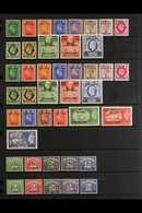 ERITREA  1948-1951 COMPLETE SUPERB MINT COLLECTION On A Stock Page, All Different, Includes 1948-49, 1950 & 1951 (5s & 1 - Afrique Orientale Italienne