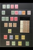 1900-1909 MINT COLLECTION  Presented On A Stock Page. Includes 1900 QV Set With Shades, 1902-03 ½d, 1905 Range To 1s, 19 - Kaimaninseln