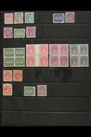 1893-1919 QUEEN AND TERN ISSUES COLLECTION  Incl. 1893-1900 Perf. 12 X 11½ 1d, 5d And 10d Fine Used, 1902 ½d Block Of Fo - Cook