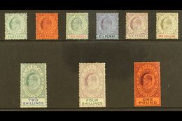 1904-08  KEVII Definitive Set, SG 56/64, Some Tiny Imperfections, Generally Fine Mint, The £1 Value Is Superb With Virtu - Gibraltar