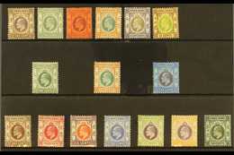 1903-11 ALL DIFFERENT MINT KEVII SELECTION  Presented On A Stock Card That Includes 1903 CA Wmk 1c, 2c, 4c, 5c, 8c & 12c - Other & Unclassified