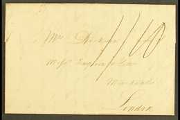 1801 ST MARY'S ENTIRE LETTER TO LONDON RE. A SHIPMENT OF HERRINGS, HADDOCK, ESTATE AND SHIP NEWS  (Aug) Lengthy Letter,  - Jamaica (...-1961)