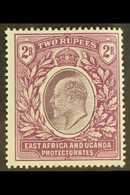 EAST AFRICA & UGANDA  1903 2r Dull And Bright Purple, Ed VII, SG 10, Very Fine Mint. For More Images, Please Visit Http: - Vide