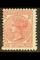 1878  2s Deep Rose, Wmk 6mm NZ And Star, Perf 12 X 11½, SG 185, Fresh Mint But Mis-perfed To Right. For More Images, Ple - Andere & Zonder Classificatie