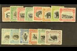 1909-23  Pictorial Set, SG 158/176, Plus 10c Shade, Fine Mint. (14 Stamps) For More Images, Please Visit Http://www.sand - Noord Borneo (...-1963)