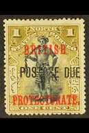 POSTAGE DUE  1902-12 1c Black And Bistre-brown (no Stop After "DUE"), SG D37a, Fine Unused (no Gum). For More Images, Pl - Noord Borneo (...-1963)