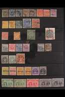 1892-1913 MINT & USED COLLECTION  On Stock Pages, Includes 1892-93 To 2s (x2), 5s (x2) & 10s, Plus £1 & £10 Fiscally Use - Other & Unclassified