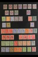1902-1952 FINE MINT COLLECTION  Presented On Stock Pages With KEVII Ranges To 2s, KGV Ranges To 2s, 1935 Jubilee Set, KG - St.Vincent (...-1979)