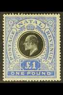 NATAL  1902 £1 Black & Bright Blue, Wmk Crown CC, SG 142, Fine Mint, One Blunt Perf At Base. For More Images, Please Vis - Unclassified