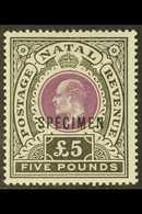 NATAL  1902 £5 Mauve & Black, Wmk Crown CC, "SPECIMEN" Overprint, SG 144s, Very Fine Mint. For More Images, Please Visit - Ohne Zuordnung