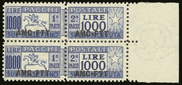 ZONE A  PARCEL POST 1954 1000L Ultramarine, Line Perf 13¼ (Sass 26/1) - A Never Hinged Mint Marginal Vertical Pair. Scar - Andere & Zonder Classificatie