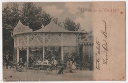 ITALIA Un Salute Da VIAREGGIO Padiglione Flora Di G. Luisi Pasticceria Caffe - Viareggio