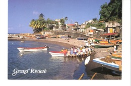 Grand'Rivière (La Trinité-Martinique)-1999-Retour De Pêche-Petit Port De Pêche Coloré Et Animé-Photo: Philippe Poux - La Trinite