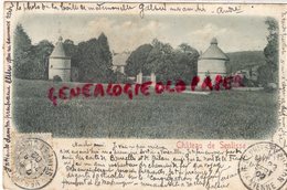 78 - CHATEAU DE SENLISSE -VALLEE CHEVREUSE  - CARTE PRECURSEUR 1902 - Other & Unclassified