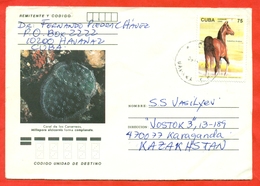 Cuba 1995.Horse, Coral. Envelope Passed The Mail. - Cartas & Documentos