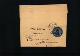 Argentina Interesting Postal Stationery Envelope For Newspapers - Entiers Postaux