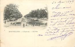 CARTE PRECURSEUR TIMBREE TYPE SAGE 1899 MONTPELLIER L'ESPLANADE - Montpellier