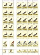 1989 Vaticano Vatican UCCELLI  BIRDS 20 Serie Di 8v. In Foglio MNH** 8 Sheets - Unclassified