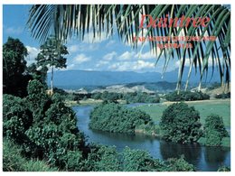 (102) Australia - QLD - Daintree - Far North Queensland