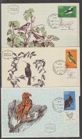 ISRAEL - 1963 Six Different Bird Maximum Cards. Nice Lot - Tarjetas – Máxima