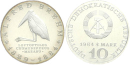 257 10 Mark, 1984, Brehm, In Hartplastik Verplombt, PP., Katalog: J. 1597 PP - Sonstige & Ohne Zuordnung