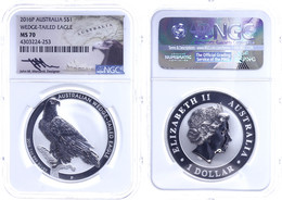 311 1 Dollar, 2015, Wedged Tailed Eagle, In Slab Der NGC Mit Der Bewertung PF70 Ultra Cameo, Mercanti-Eagle Label. - Sonstige & Ohne Zuordnung