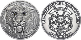 333 1.000 Francs, 2013, Säbelzahntiger - Real Eye Effect, 1 Unze Silber, Etui Mit OVP Und Zertifikat. Auflage Nur 500 St - Burkina Faso