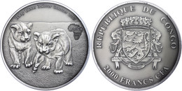 430 2.000 Francs, 2013, Africa - Babylöwen, 3 Unzen Silber, Antik Finish, In Kapsel Mit Zertifikat, St. Auflage Nur 500  - Gabon