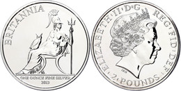 446 2 Pounds, 2013, Britannia, 1 Unze Silber, Etui Mit OVP Und Zertifikat. Auflage Nur 10.000 Stück, St  PP - Other & Unclassified