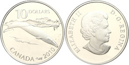 485 10 Dollars, 2010, Blauwal (ohne Briefmarken), Im Etui Mit OVP Und Zertifikat, Angelaufen, PP. Auflage Nur 10.000 Stü - Canada