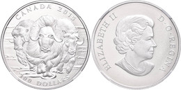 497 100 Dollars, Silber, 2015, Moschusochse, In Slab Der NGC Mit Der Bewertung PF70 Matte, Early Releases, Flag Label. - Canada