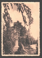 's Gravenwezel - Kostschool H. Hart Van Maria - Schilde