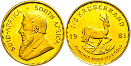 635 1/2 Unze, Gold, 1981, Krügerrand, Min. Angelaufen, PP.  PP - Afrique Du Sud