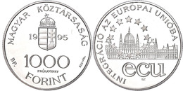 651 1000 Forint, Silber, 1995, Probe, Parlament, Vgl. KM 720, In Kapsel, Min Angelaufen, Wz. Kratzer, PP.  PP - Andere & Zonder Classificatie