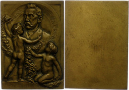 902 Belgien, Rechteckige Bronzeplakette (Dm. Ca. 67,20x48,20mm, Ca. 114,04g), 1895. Av: Zwei Knaben Schmücken Ein Medail - Sonstige & Ohne Zuordnung