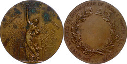 939 Frankreich, Bronzemedaille (Dm. Ca. 59mm, Ca. 91,48g), 1873, Von A. Dubois Und H. Chapu. Av: Eine Säule Bekränzende  - Sonstige & Ohne Zuordnung