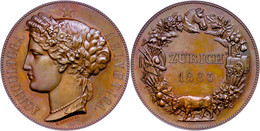 956 Schweiz, Zürich, Bronzemedaille (Dm. Ca. 50,30mm, Ca. 58,64g) 1883, Von E. Durussel, Auf Die Landesausstellung. Av:  - Sonstige & Ohne Zuordnung