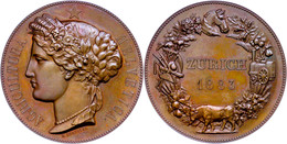 956 Schweiz, Zürich, Bronzemedaille (Dm. Ca. 50,30mm, Ca. 58,64g) 1883, Von E. Durussel, Auf Die Landesausstellung. Av:  - Other & Unclassified