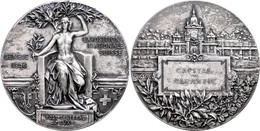 959 Schweiz, Genv, Versilberte Bronzemedaille (Dm. Ca. 62mm, Ca. 97,75g), 1896, Von H. Bovy, Auf Die Schweizerische Land - Sonstige & Ohne Zuordnung