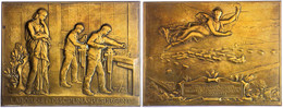 986 Frankreich, Rechteckige Bronzeplakette (ca. 81x61,10mm, Ca. 137,33g), 1893, Von Dupuis Und Lechevrel. Av: Weibliche  - Sonstige & Ohne Zuordnung