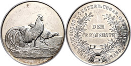 1051 Silbermedaille (Dm. Ca. 40,20mm, Ca. 32,25g), O.J., Von C. Petersen, Club Deutscher Und Österreich-ungarischer Gefl - Andere & Zonder Classificatie